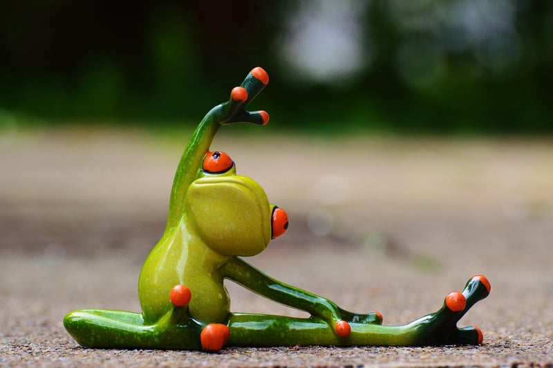 Yoga & Pilates